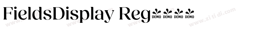 FieldsDisplay Reg字体转换